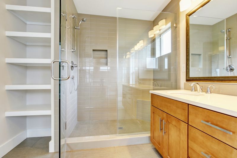 Luxury Shower Door